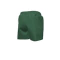 Miniatyrbild 2 av 3: Nike Swim Swoosh Break 5´´ Volley Simshorts Grönt L Man