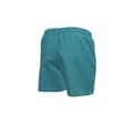 Miniatyrbillede 2 af 3: Nike Swim 5´´ Volley Badeshorts Grøn,Blå S Mand