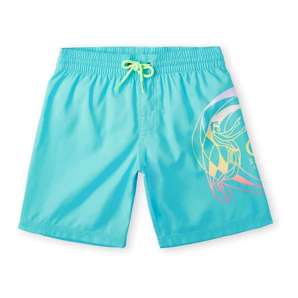 O´neill Circle Surfer 14´´ Badebukser Blå 11-12 Years Dreng