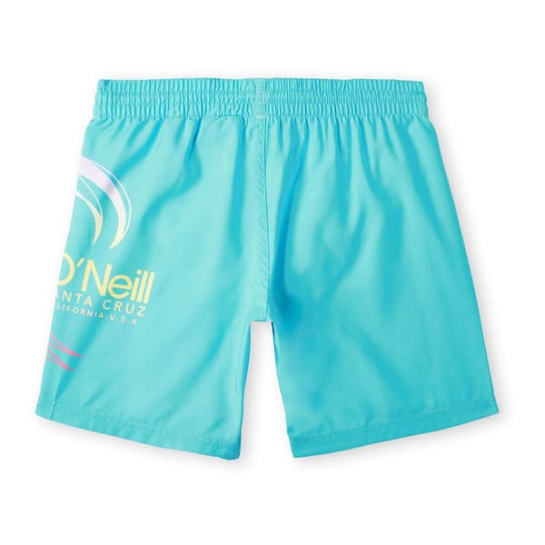 O´neill Circle Surfer 14´´ Badebukser Blå 14-15 Years Dreng
