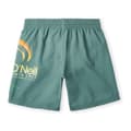 Miniatyrbillede 2 af 2: O´neill Circle Surfer 14´´ Badebukser Grøn 9-10 Years Dreng