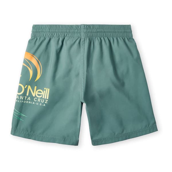 O´neill Circle Surfer 14´´ Badebukser Grøn 9-10 Years Dreng
