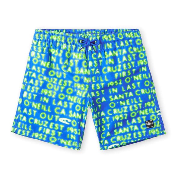 O´neill Cali Gradient 14´´ Badebukser Blå 9-10 Years Dreng