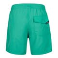Miniatyrbild 2 av 2: O´neill N03200 Vert Swim 16´´ Badbyxor Grönt S Man