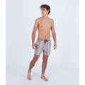 Miniatyrbild 5 av 5: Hurley Phantom Naturals Sessions 16´´ Badbyxor Grå 36 Man