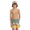 Miniatyrbillede 1 af 4: O´neill Mix&match Cali Block 13´´ Badebukser Flerfarvet 11-12 Years Dreng