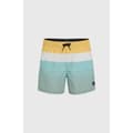 Pikkukuva 2 / 4: O´neill Mix&match Cali Print 15´´ Uimahousut Vihreä XL Mies