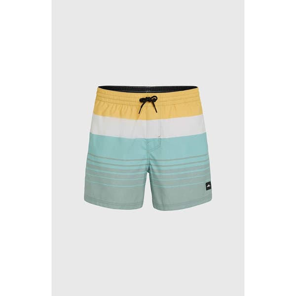 O´neill Mix&match Cali Print 15´´ Uimahousut Vihreä XL Mies