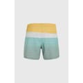Pikkukuva 3 / 4: O´neill Mix&match Cali Print 15´´ Uimahousut Vihreä XL Mies