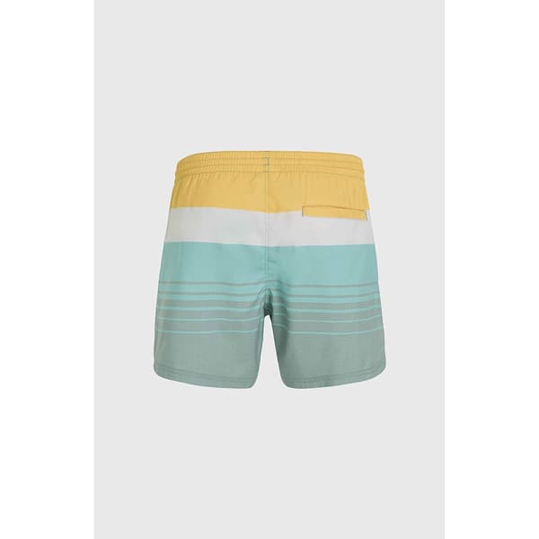 O´neill Mix&match Cali Print 15´´ Uimahousut Vihreä XL Mies