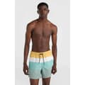 Pikkukuva 4 / 4: O´neill Mix&match Cali Print 15´´ Uimahousut Vihreä XL Mies