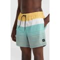 Pikkukuva 1 / 4: O´neill Mix&match Cali Print 15´´ Uimahousut Vihreä XL Mies