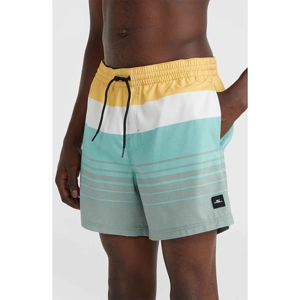 O´neill Mix&match Cali Print 15´´ Uimahousut Vihreä XL Mies