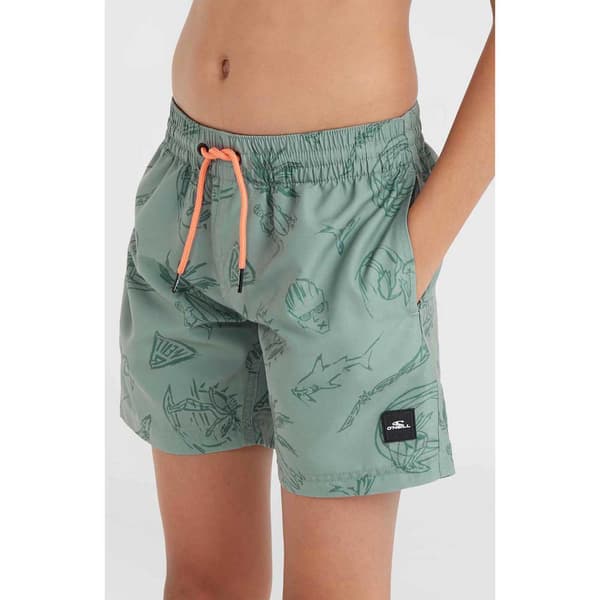 O´neill Mix&match Cali Print 13´´ Badebukser Grøn 14-15 Years Dreng