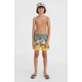 Miniatyrbillede 5 af 5: O´neill Mix&match Cali Block 13´´ Badebukser Flerfarvet 14-15 Years Dreng