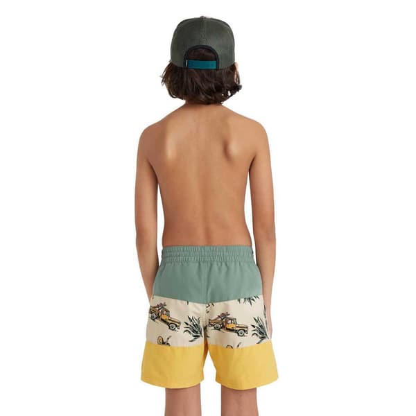 O´neill Mix&match Cali Block 13´´ Badebukser Flerfarvet 14-15 Years Dreng