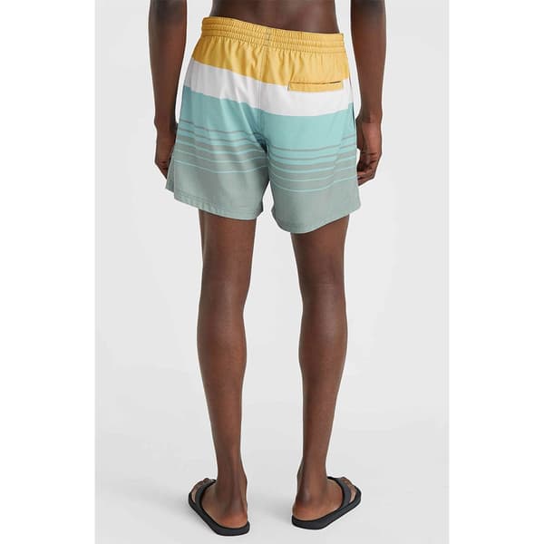 O´neill Mix&match Cali Print 15´´ Badebukser Grøn XS Mand