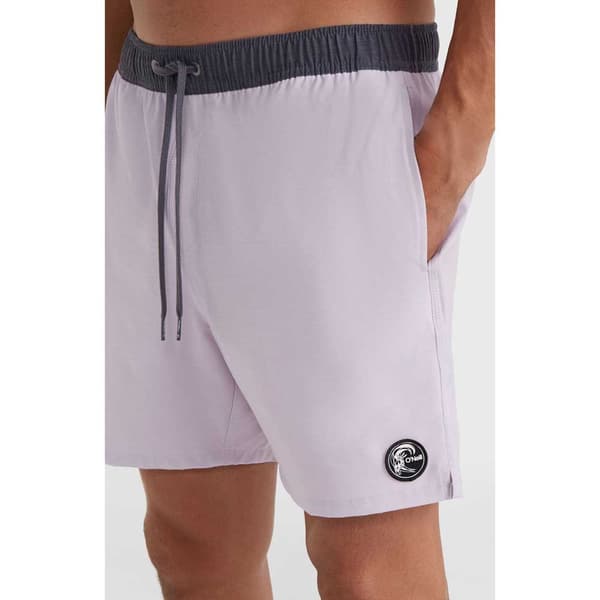 O´neill 2800212 Og Solid Volley 16´´ Simshorts Lila M Man