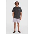 Miniatyrbild 4 av 4: O´neill 2800212 Og Solid Volley 16´´ Simshorts Lila M Man