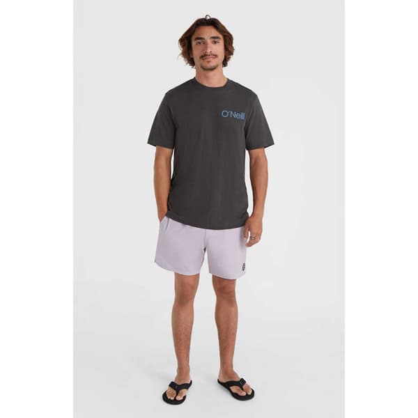 O´neill 2800212 Og Solid Volley 16´´ Simshorts Lila M Man