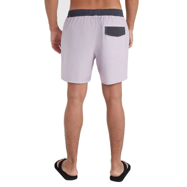 O´neill 2800212 Og Solid Volley 16´´ Simshorts Lila M Man