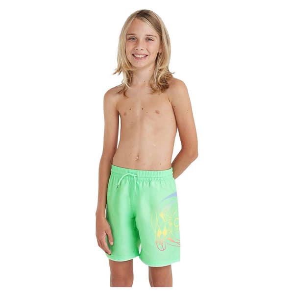 O´neill Circle Surfer 14´´ Badebukser Grøn 3-4 Years Dreng