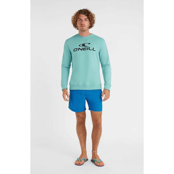 O´neill Vert 16´´ Badebukser Blå 2XL Mand