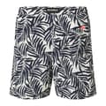 Miniatyrbillede 2 af 2: Ecoalf Bequia Badeshorts Flerfarvet XL Mand