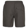 Miniatyrbillede 2 af 2: O´neill N03200 Vert Swim 16´´ Badebukser Grå XS Mand
