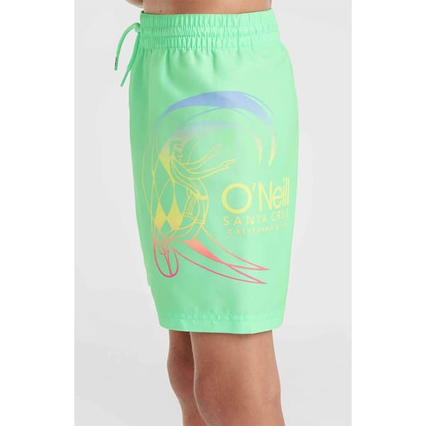 O´neill Circle Surfer 14´´ Badebukser Grøn 14-15 Years Dreng