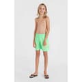 Miniatyrbillede 6 af 6: O´neill Circle Surfer 14´´ Badebukser Grøn 14-15 Years Dreng