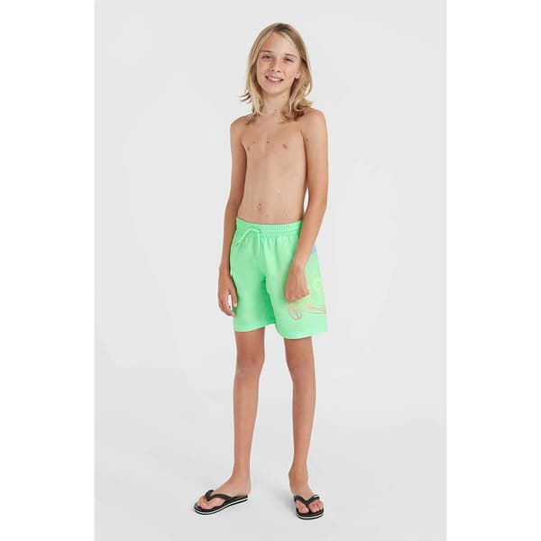 O´neill Circle Surfer 14´´ Badebukser Grøn 14-15 Years Dreng