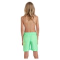 Miniatyrbillede 2 af 6: O´neill Circle Surfer 14´´ Badebukser Grøn 14-15 Years Dreng
