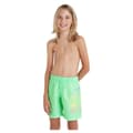 Miniatyrbillede 1 af 6: O´neill Circle Surfer 14´´ Badebukser Grøn 14-15 Years Dreng