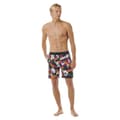 Miniatyrbild 3 av 5: Rip Curl Surf Revival Hoffman Volley Simshorts Svart S Man