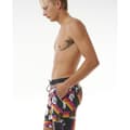 Miniatyrbild 5 av 5: Rip Curl Surf Revival Hoffman Volley Simshorts Svart S Man