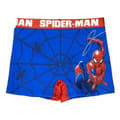 Pikkukuva 1 / 5: Poikien Uimashortsit Spider-Man