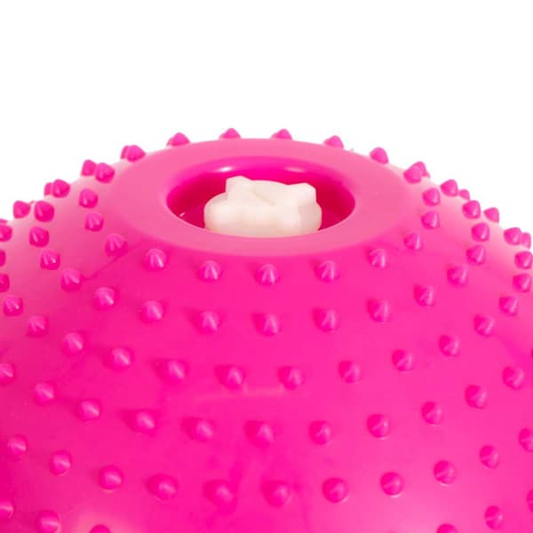Softee Kettlebell Water Rosa
