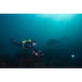 Miniatyrbillede 9 af 9: Yamaha Seascooter Rds300 Sort 30 m