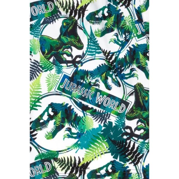 Jurassic World Boys Dinosaur Swim Shorts