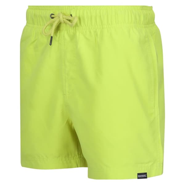 Regatta Mawson II badeshorts til mænd