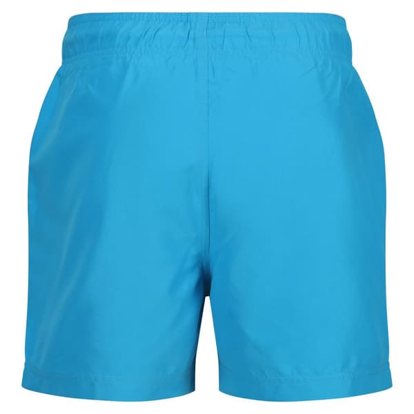 Regatta Mens Mawson II Swim Shorts