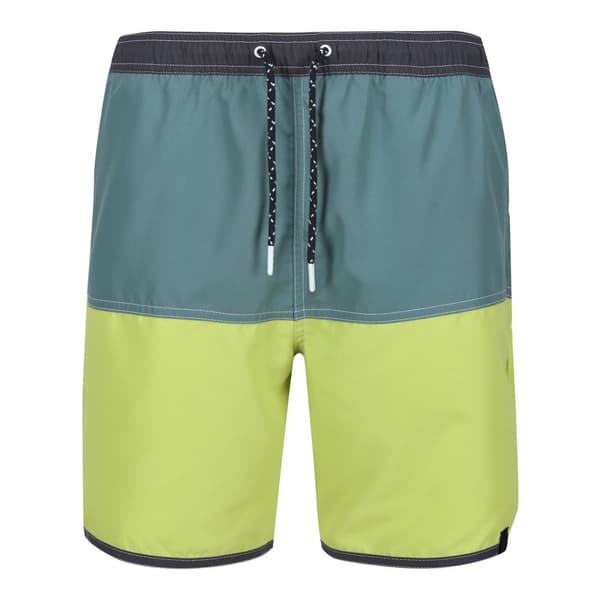 Regatta Benicio badshorts för män