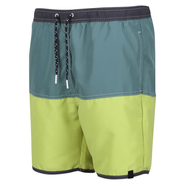 Regatta Benicio badshorts för män