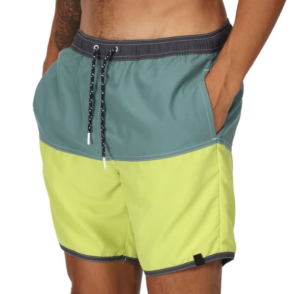 Regatta Benicio badshorts för män