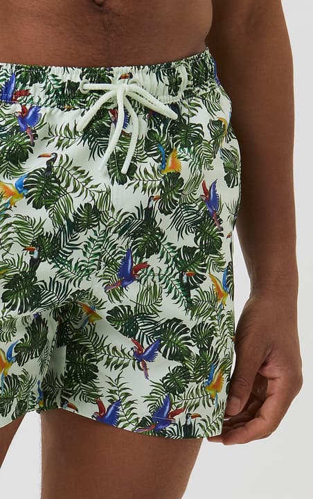 Björn Borg - Badshorts 10000792 Papegojor