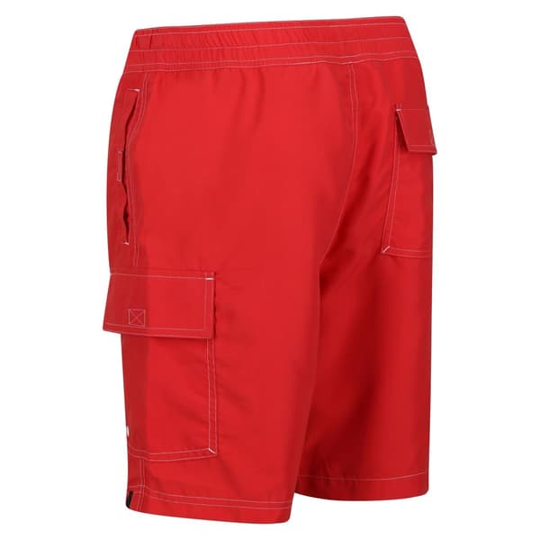 Regatta Mens Hotham IV Swim Shorts