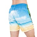 Miniatyrbillede 2 af 2: Crosshatch Dream Beach badeshorts til mænd