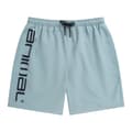 Miniatyrbillede 1 af 3: Animal Mens Deep Dive Recycled Boardshorts