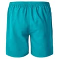 Miniatyrbild 2 av 3: Aquawave Aogash badshorts för herrar